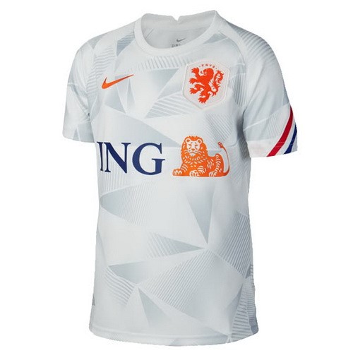 Tailandia Camiseta Países Bajos Pre Match 2020 Gris
